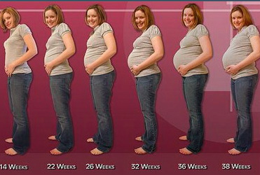 تغییرات بدن طی دوران بارداری
